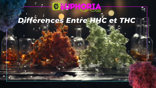 Différences Entre HHC et THC